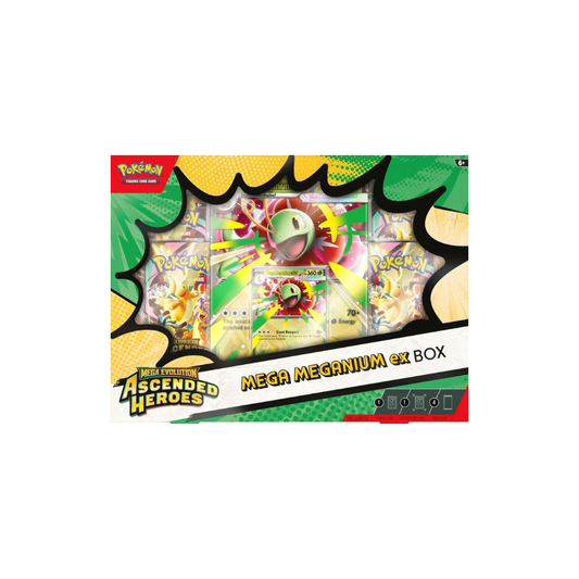 Ascended Heroes Mega Meganium ex Box